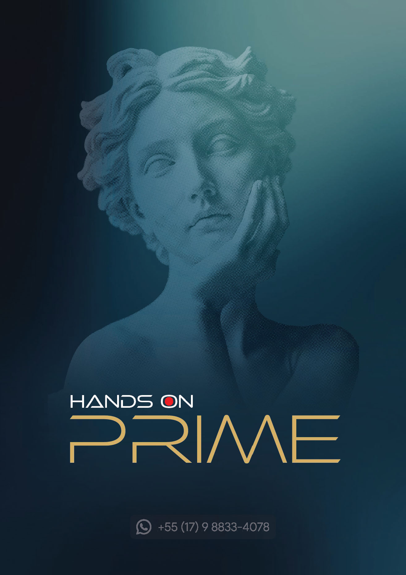 PlasticFlix - PRIME 2026_Página_01