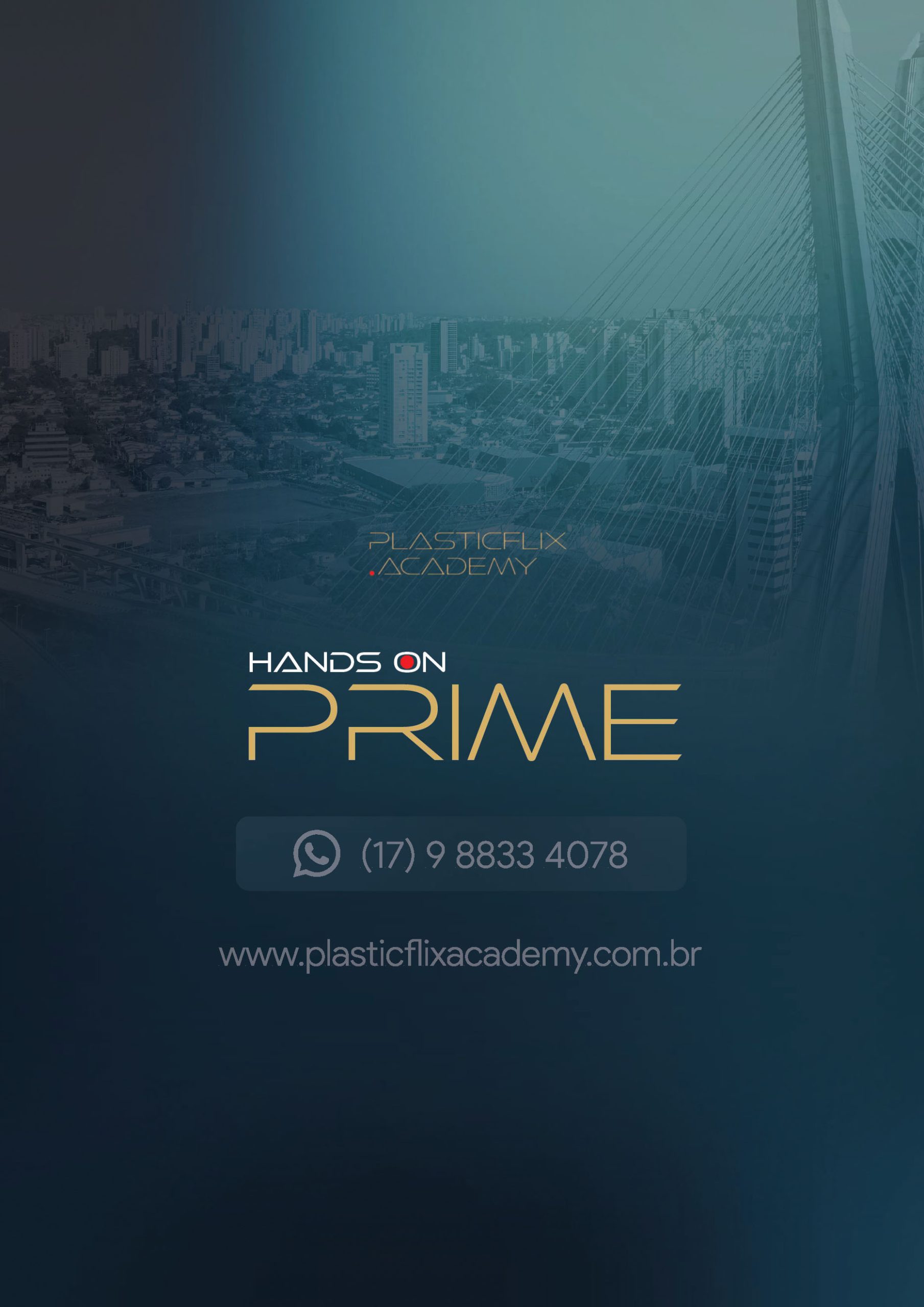 PlasticFlix - PRIME 2026_Página_11